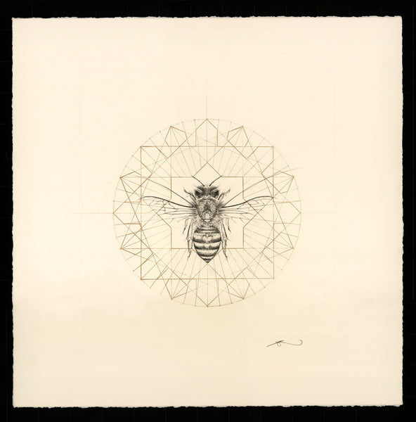 Jessica Albarn honeybee illustration 