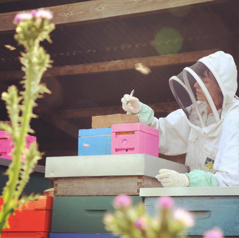 The London Honey Company's Beefarming Apprentice Hannah Hard at Work