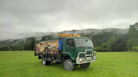 beekeeping new zealand manuka honey