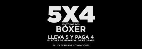 5X4-BOXER-2.png__PID:151bc63a-8ec0-4b86-80d5-010eb48bf59f