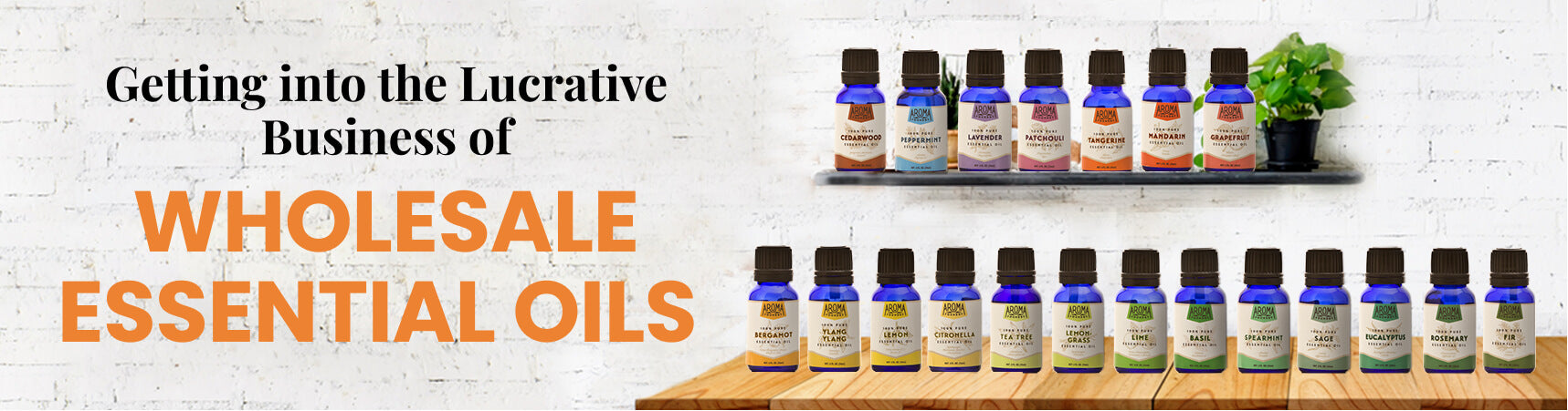 wholesale oils