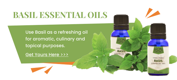 basil essential oil