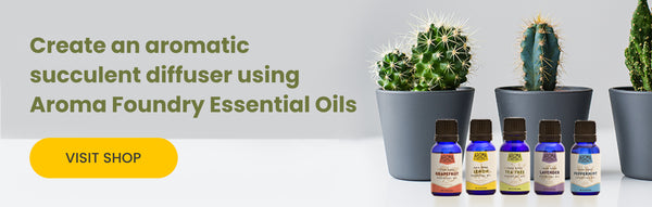 Shop Essential Oils for Succulent Diffuser | Aroma Foundry