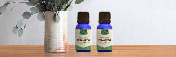 Eucalyptus Essential Oil