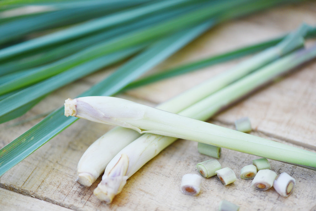 citronella essential oil