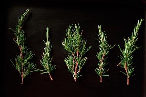 five rosemary leaves
