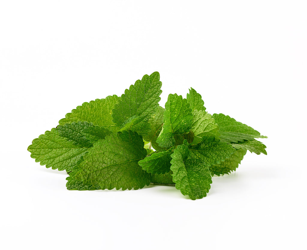 spearmint essential oil