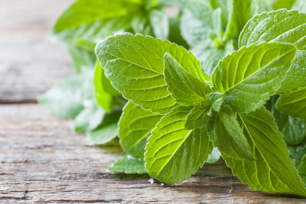 spearmint essential oil