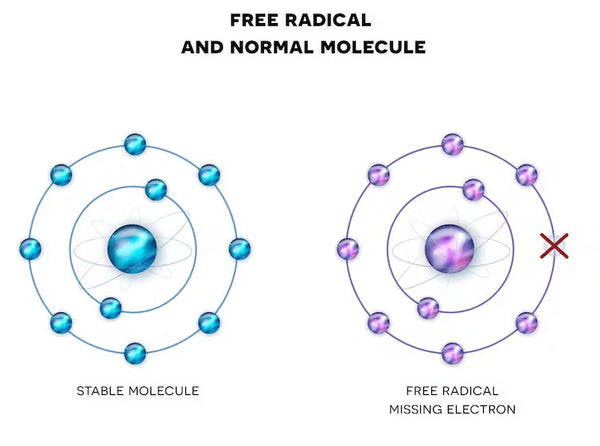 Stable, normal molecule, left, and one missing an electron, right. From www.shutterstock.com