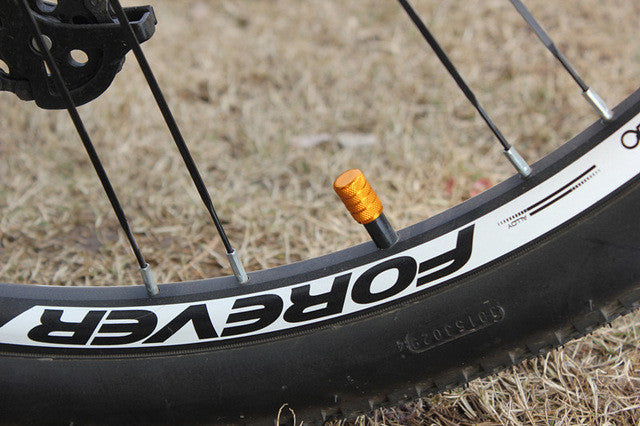 dust cap bike