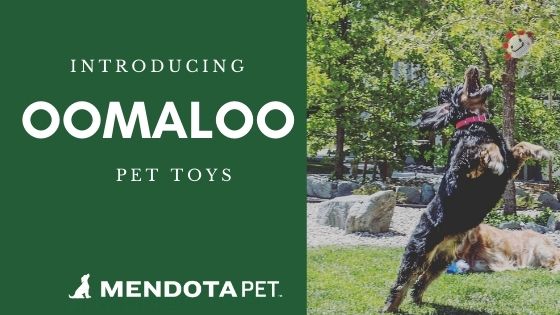 OoMaLoo Pet Toys