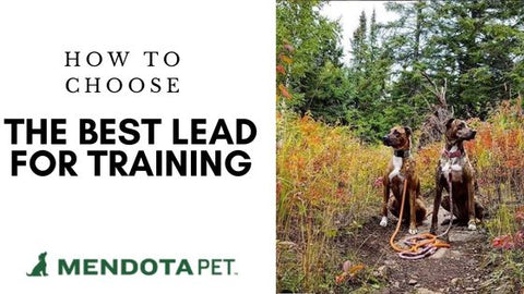 Choosing Best Lead for Training