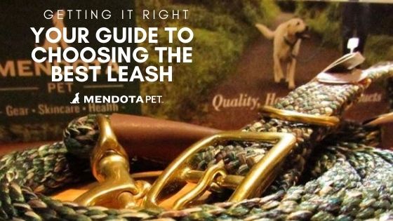 Guide to Choosing the Best Leash - Mendota Pet