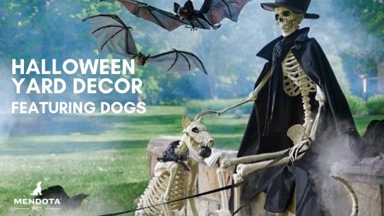 Halloween Yard Decor Dogs