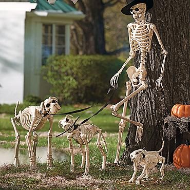 Halloween Yard Decor Featuring Dogs – Mendota Pet