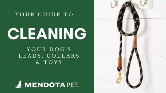 Guide to Cleaning Pet Gear