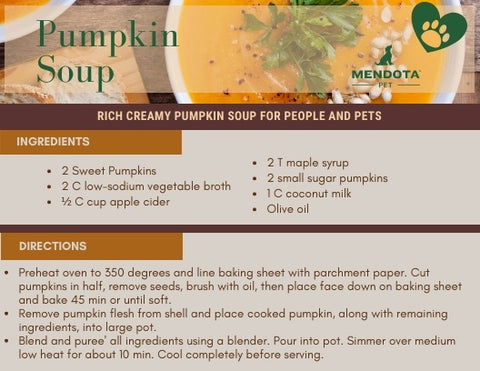 dog-friendly pumpkin soup