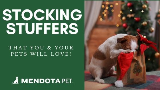 Stocking stuffers for dogs