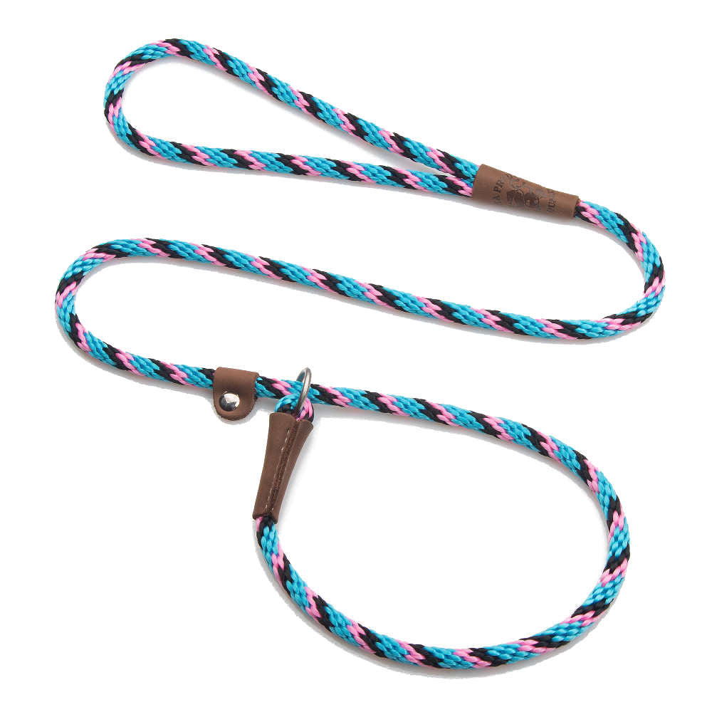 custom slip leads for dogs