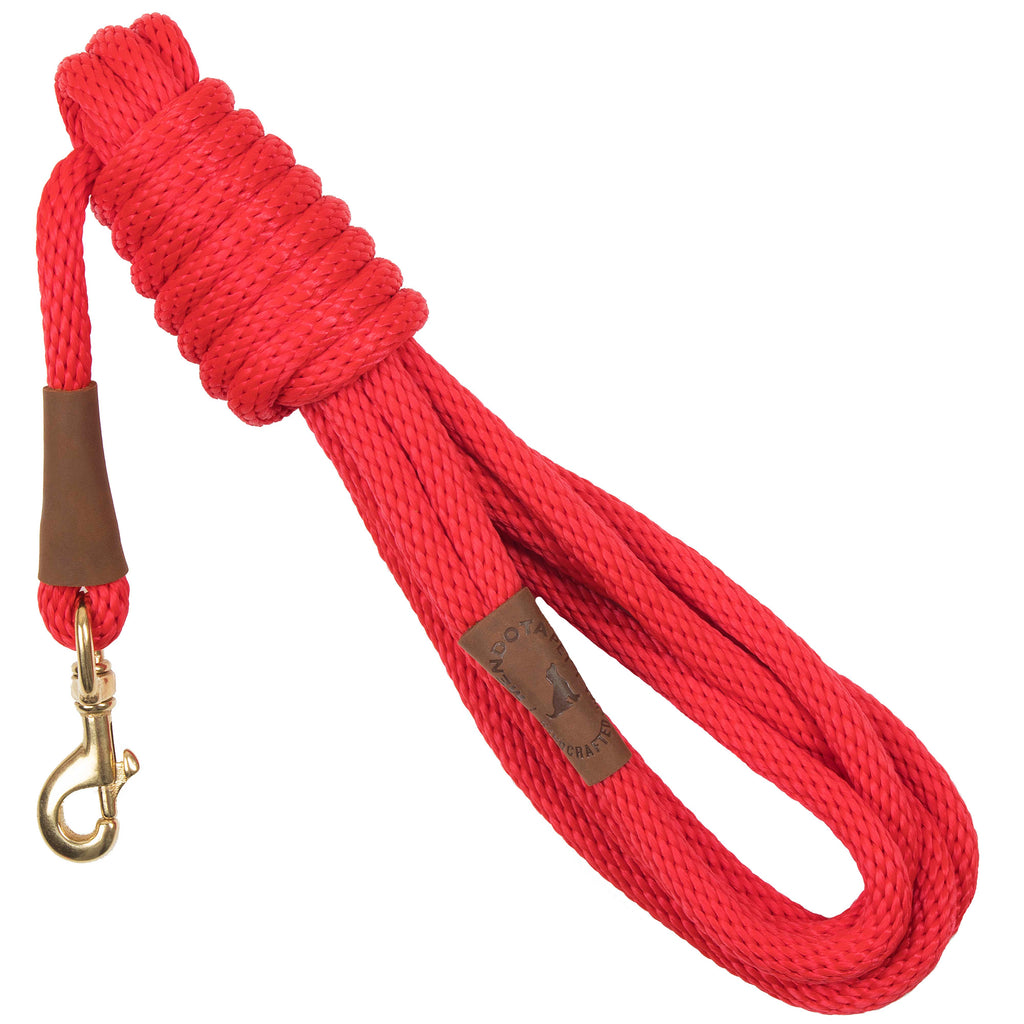 15 ft training leash