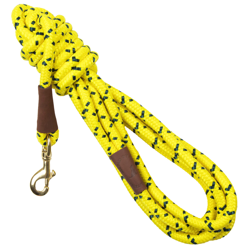 15 foot leash