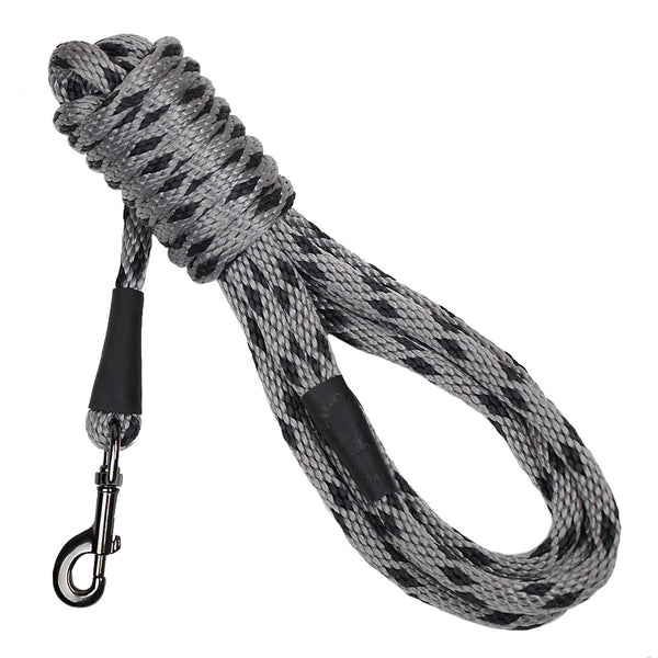 15 foot leash