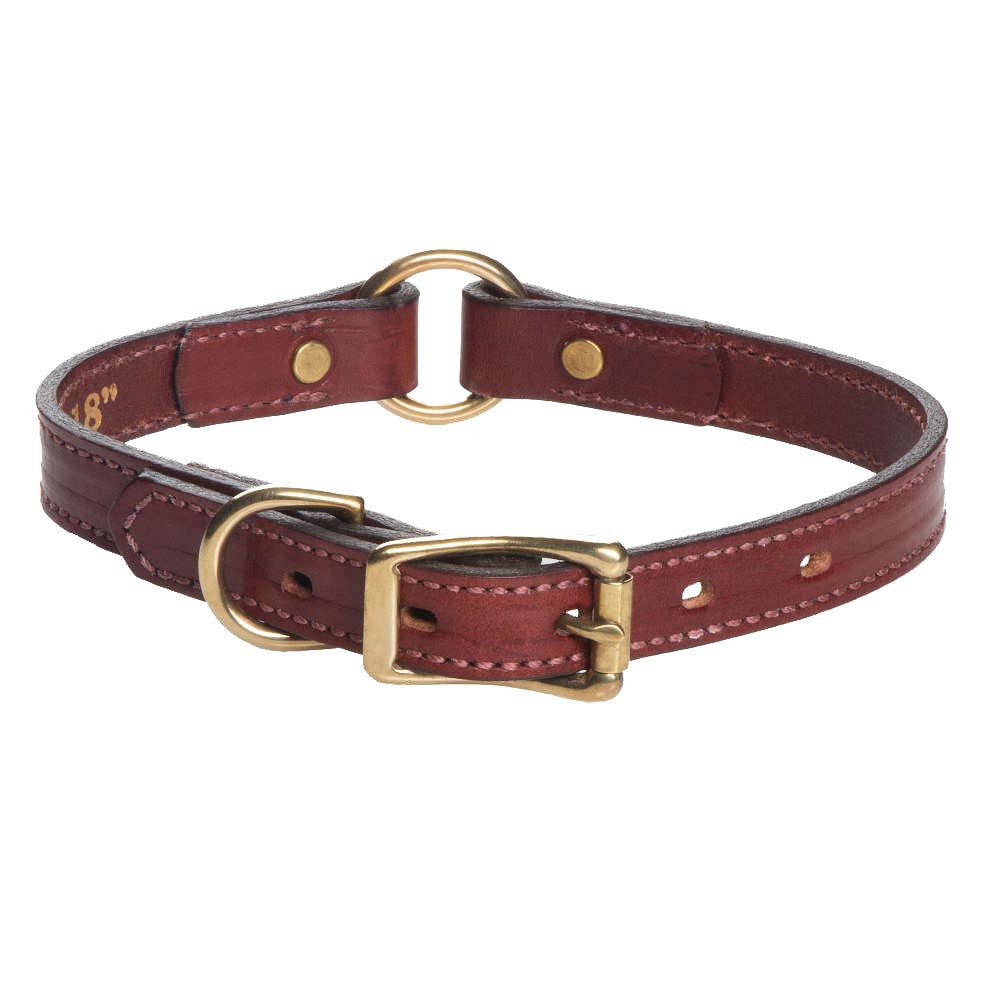 leather hunting dog collars