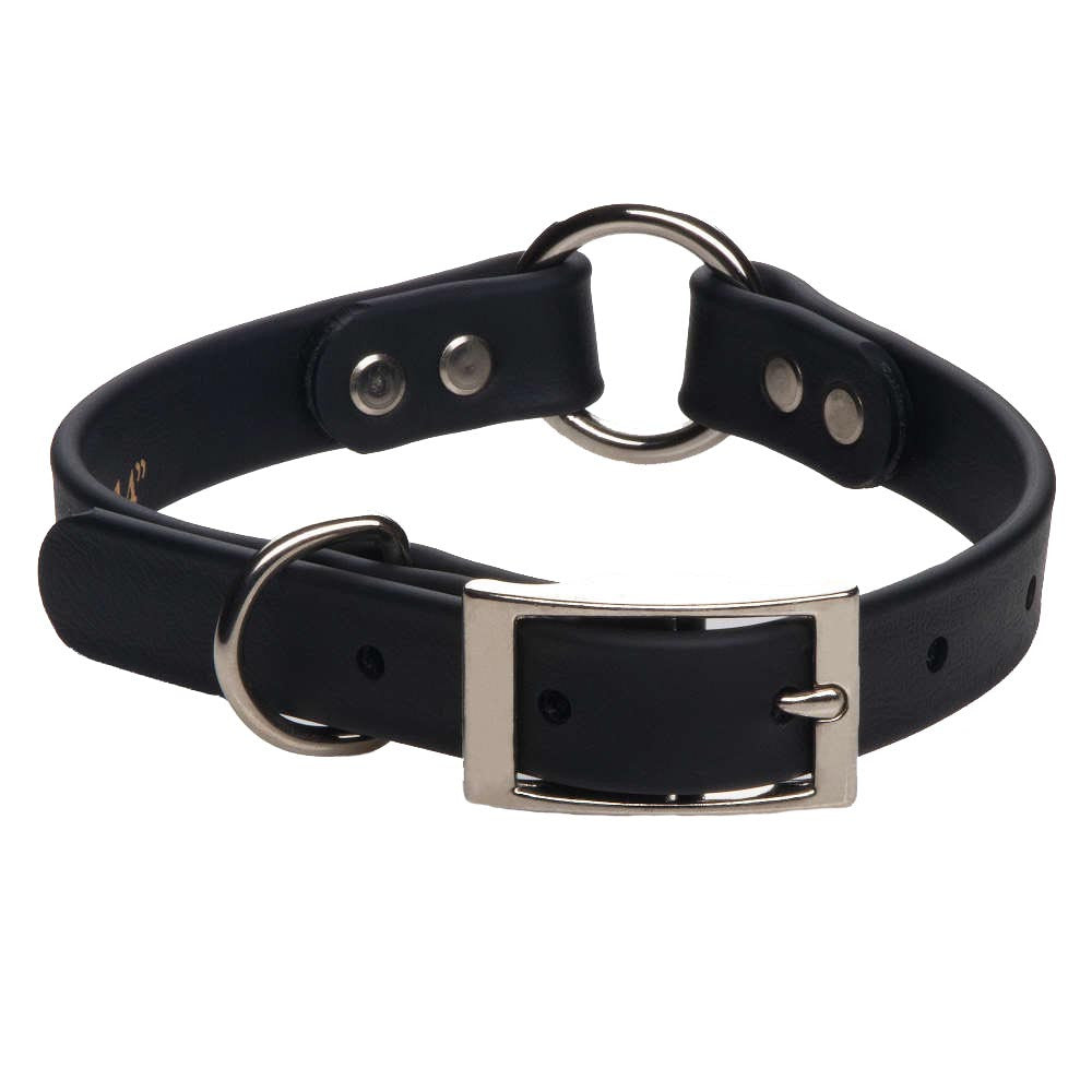 center ring dog collar
