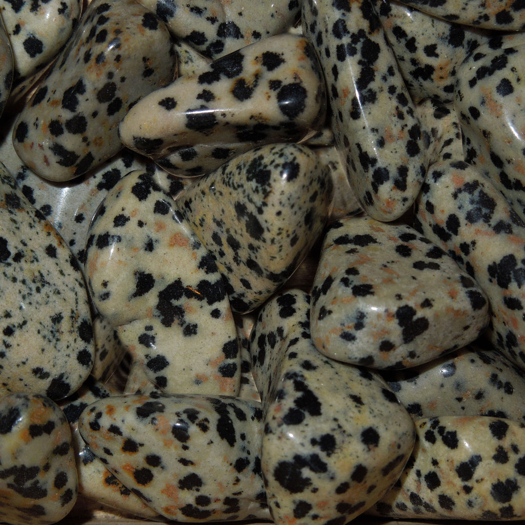 dalmation jasper