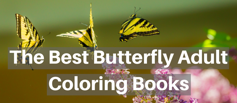 adult-coloring-book-butterflies