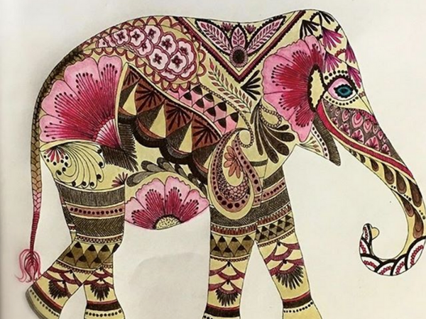 awesome elephant coloring pages for adults  creatively calm
