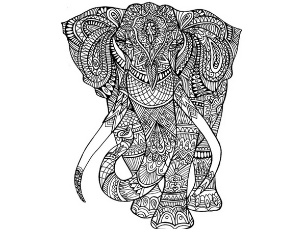 Detailed Elephant Coloring Pages