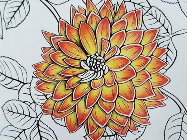 adult coloring pages already colored