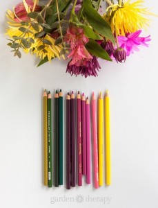 Adult coloring books with pencils