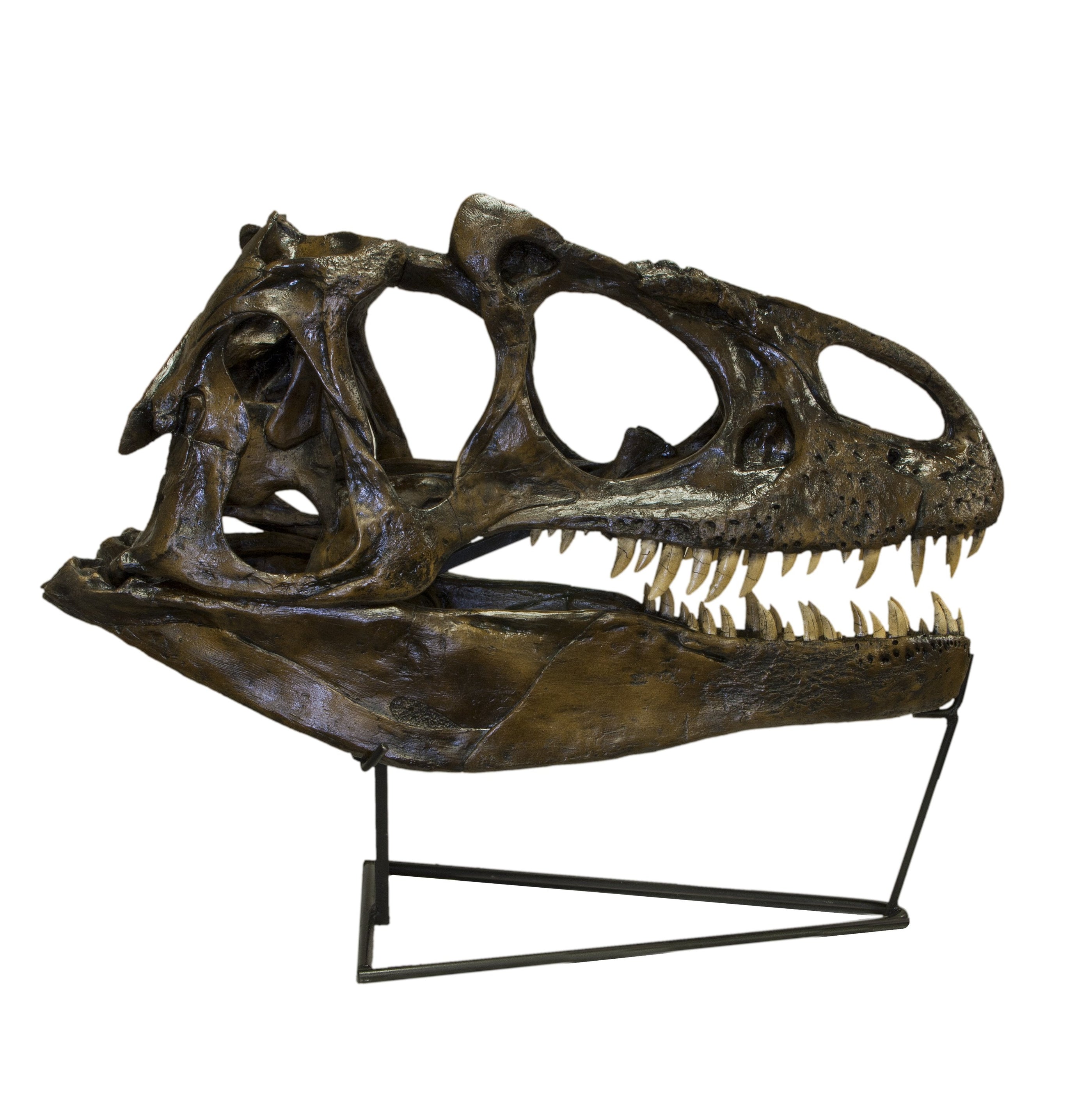 allosaurus skull zbrush