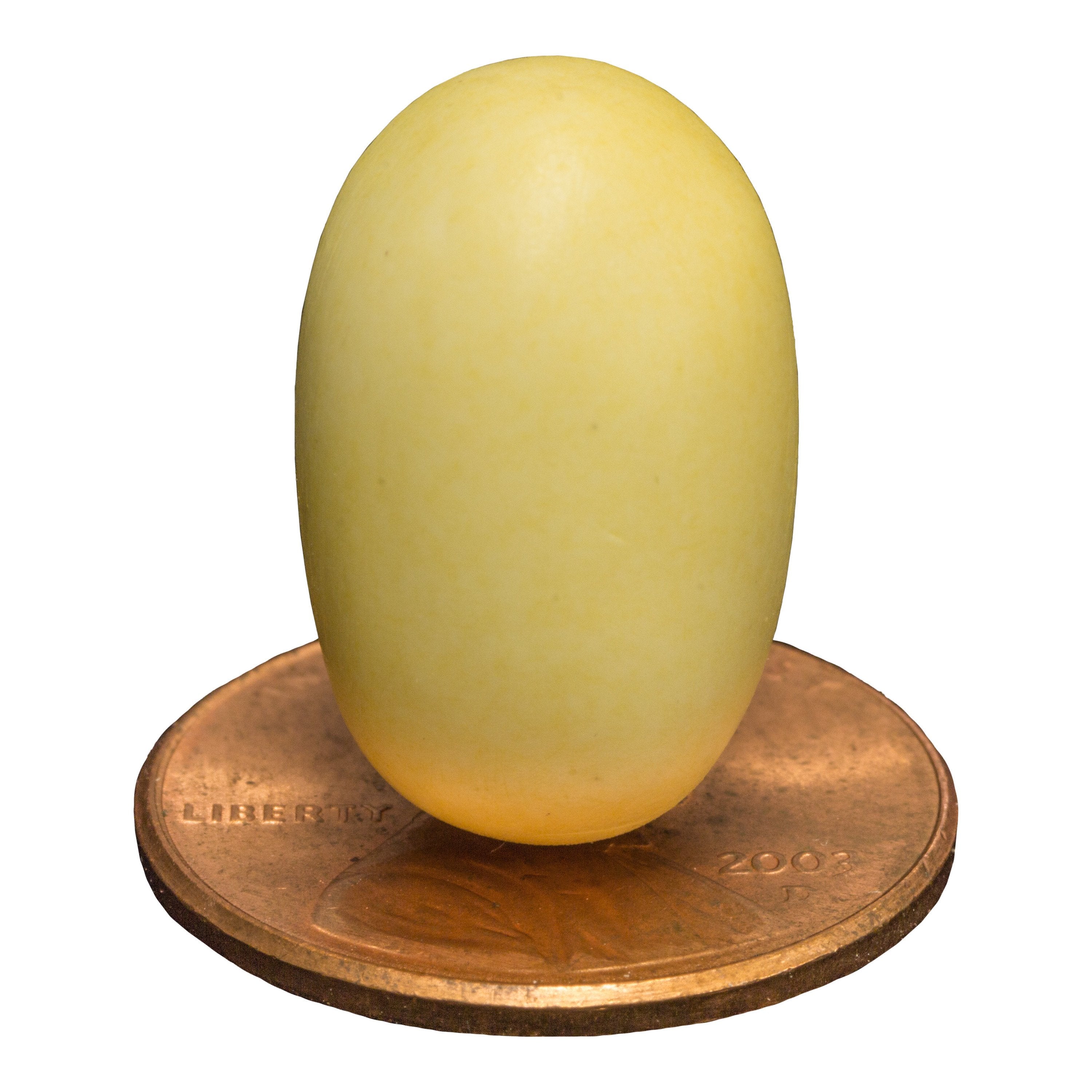 platypus egg