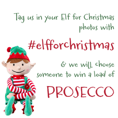 Elf for Christmas Prosecco