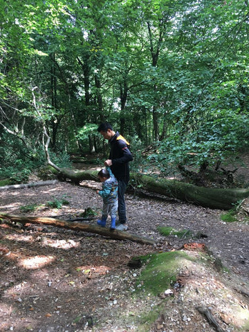 Box Hill Natural Play Trail