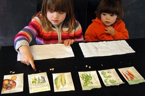 Playdough to Plato toddler science experiment with seeds