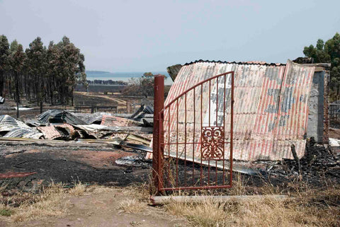 Bangor shearing shed lost in the 2013 bushfires