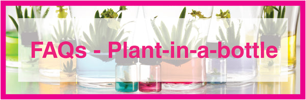 FAQs - Plant-in-a-bottle