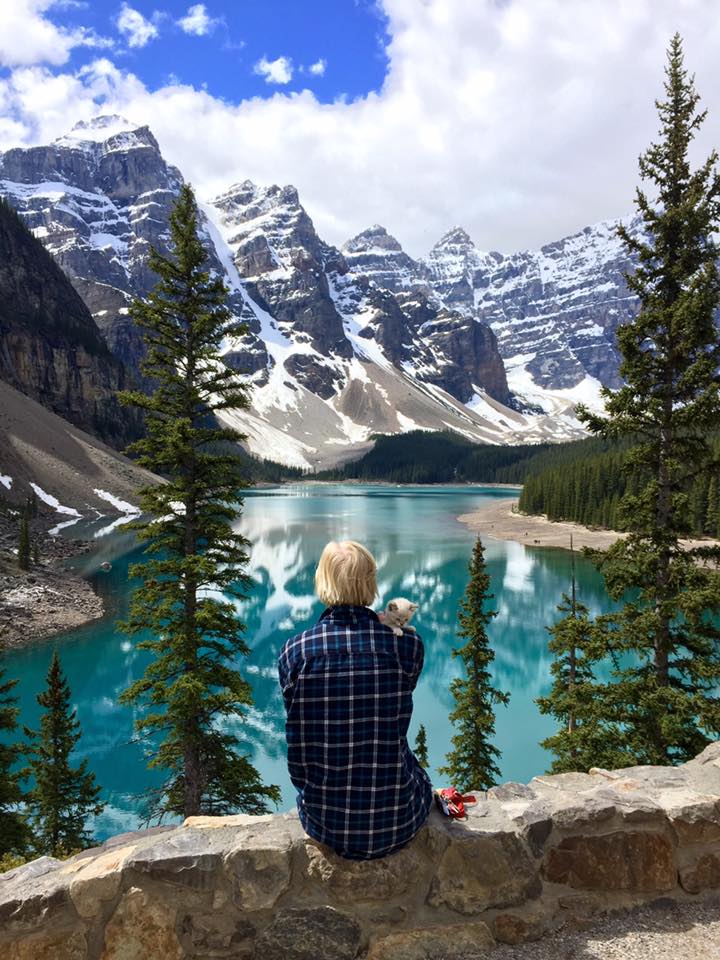 Flannel Fox Jessamy at Morraine Lake