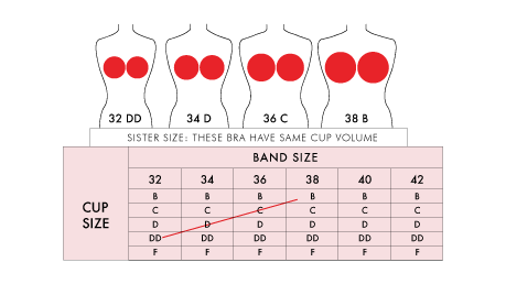 Explained: What is Bra Sister Size with Sister Size Charts