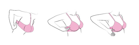 How does Hanes measure bra sizes? - Quora