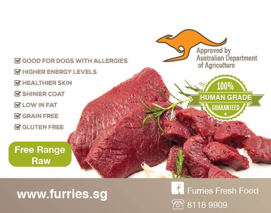 fresh kangaroo meat for dogs