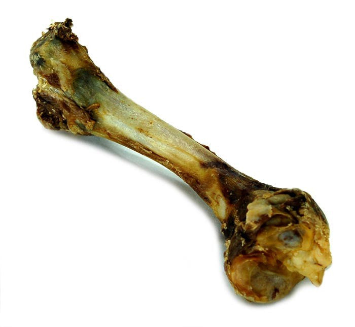 are lamb leg bones safe for dogs