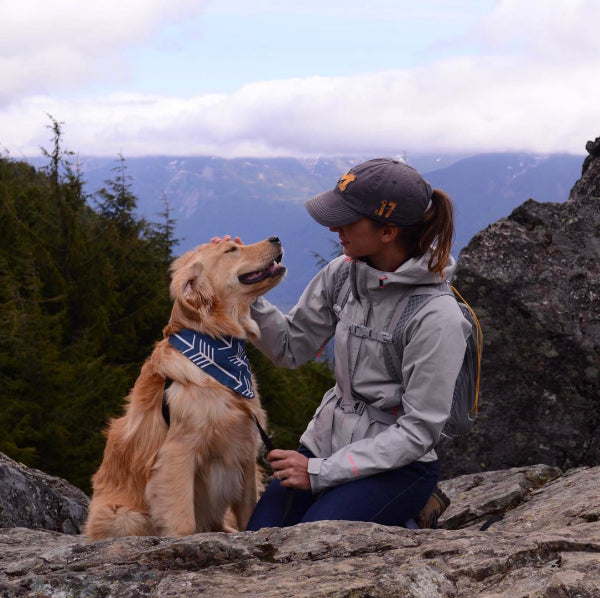 15 pictures that prove the Pacific Northwest is heaven on earth for dogs