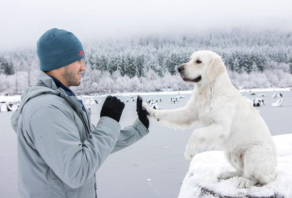 Man plays pattycakes with polar bear dog