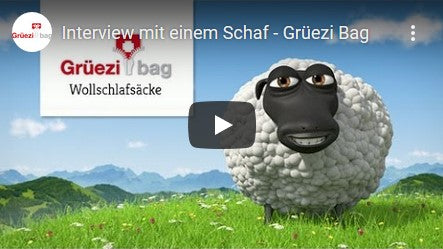 Grüezi bag Interview with a sheep on Youtube