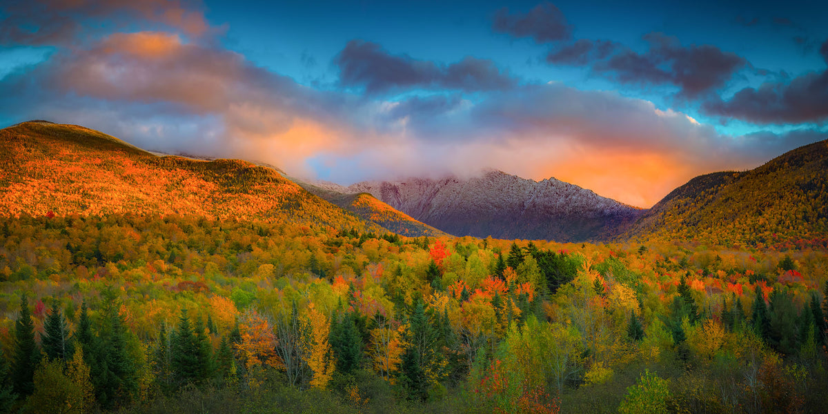 Foliage at Sunset | Landscape Wall Art | New England Photography ...